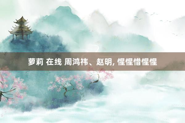 萝莉 在线 周鸿祎、赵明， 惺惺惜惺惺