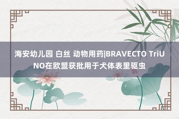 海安幼儿园 白丝 动物用药|BRAVECTO TriUNO在欧盟获批用于犬体表里驱虫