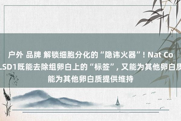 户外 品牌 解锁细胞分化的“隐讳火器”! Nat Commun | LSD1既能去除组卵白上的“标签”， 又能为其他卵白质提供维持