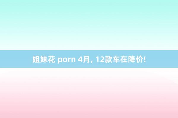 姐妹花 porn 4月， 12款车在降价!